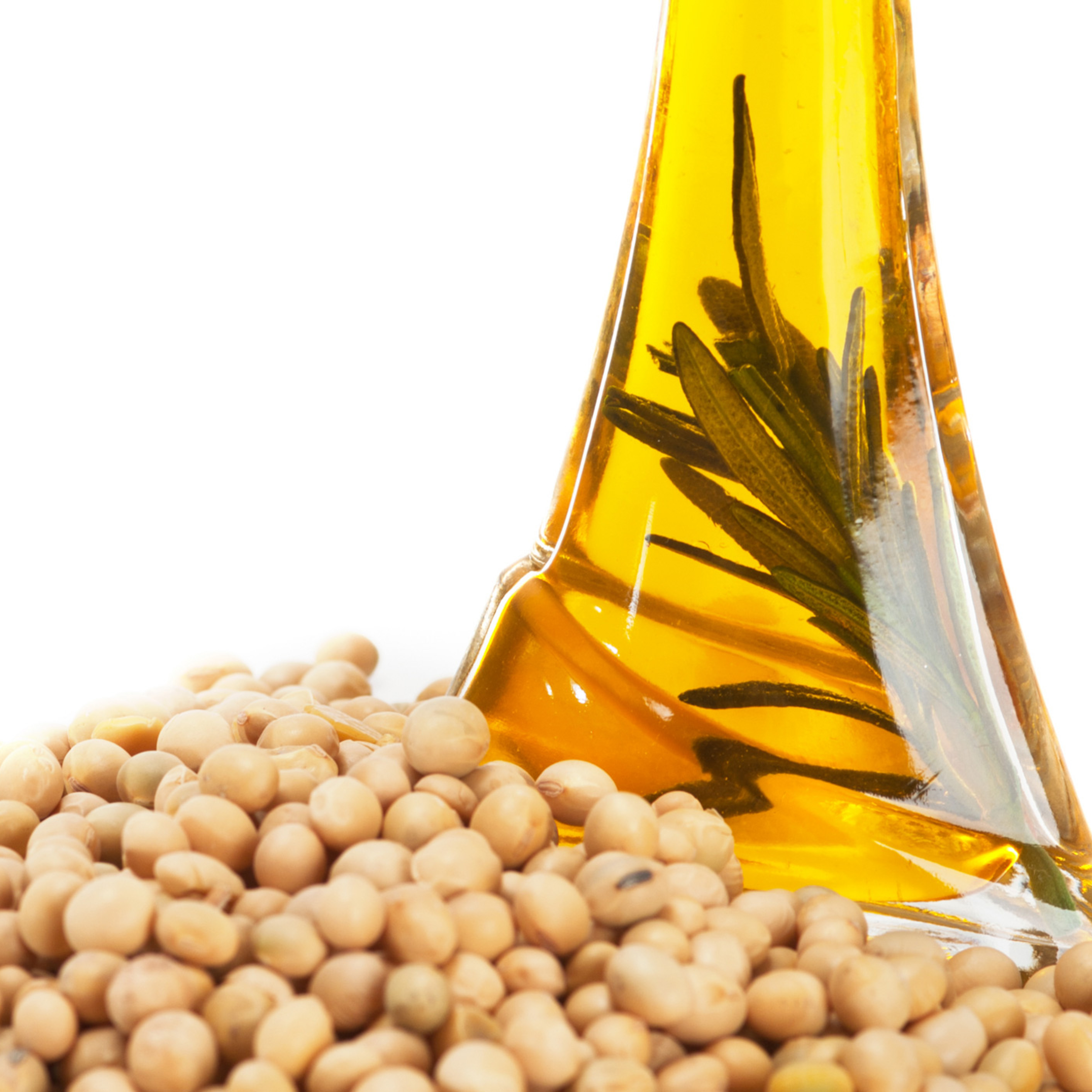 Soybean oil