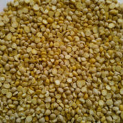 Chickpeas_split_Clean_Export_quality