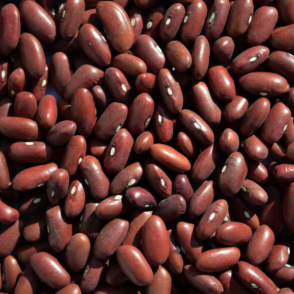 Dark red kidney beans