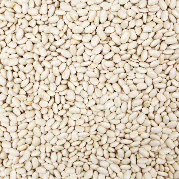 Great northern beans