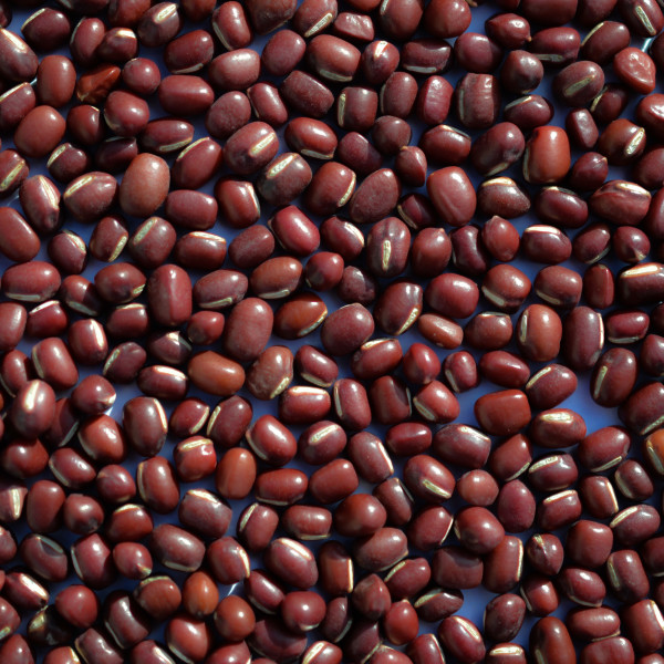 Red adzuki beans