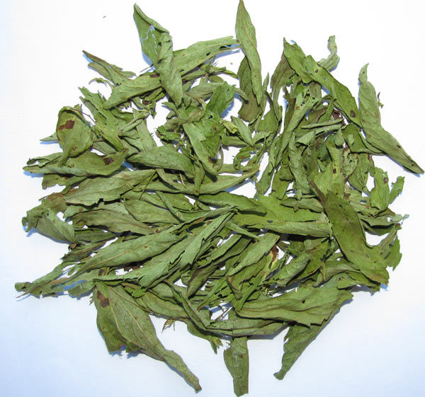 stevia02