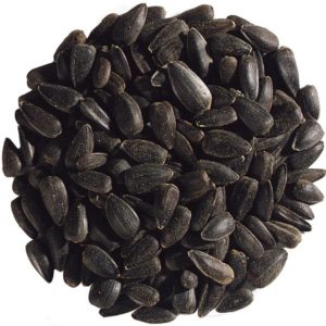 Black  sunflower seed