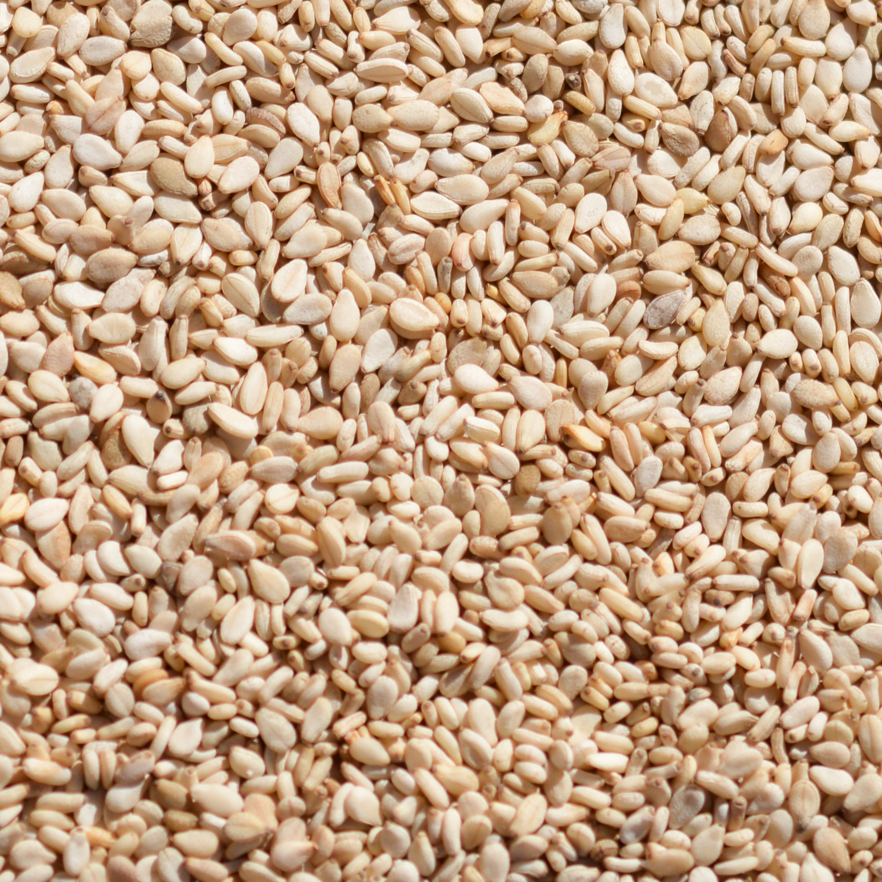 Sesame Seeds MDECA